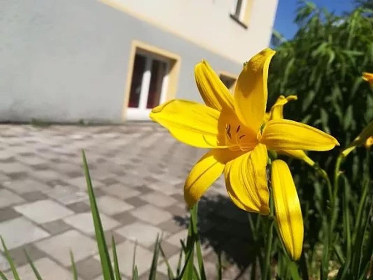 Apartmán Haus Am Apfelbaum Bad Säckingen Exteriér fotografie